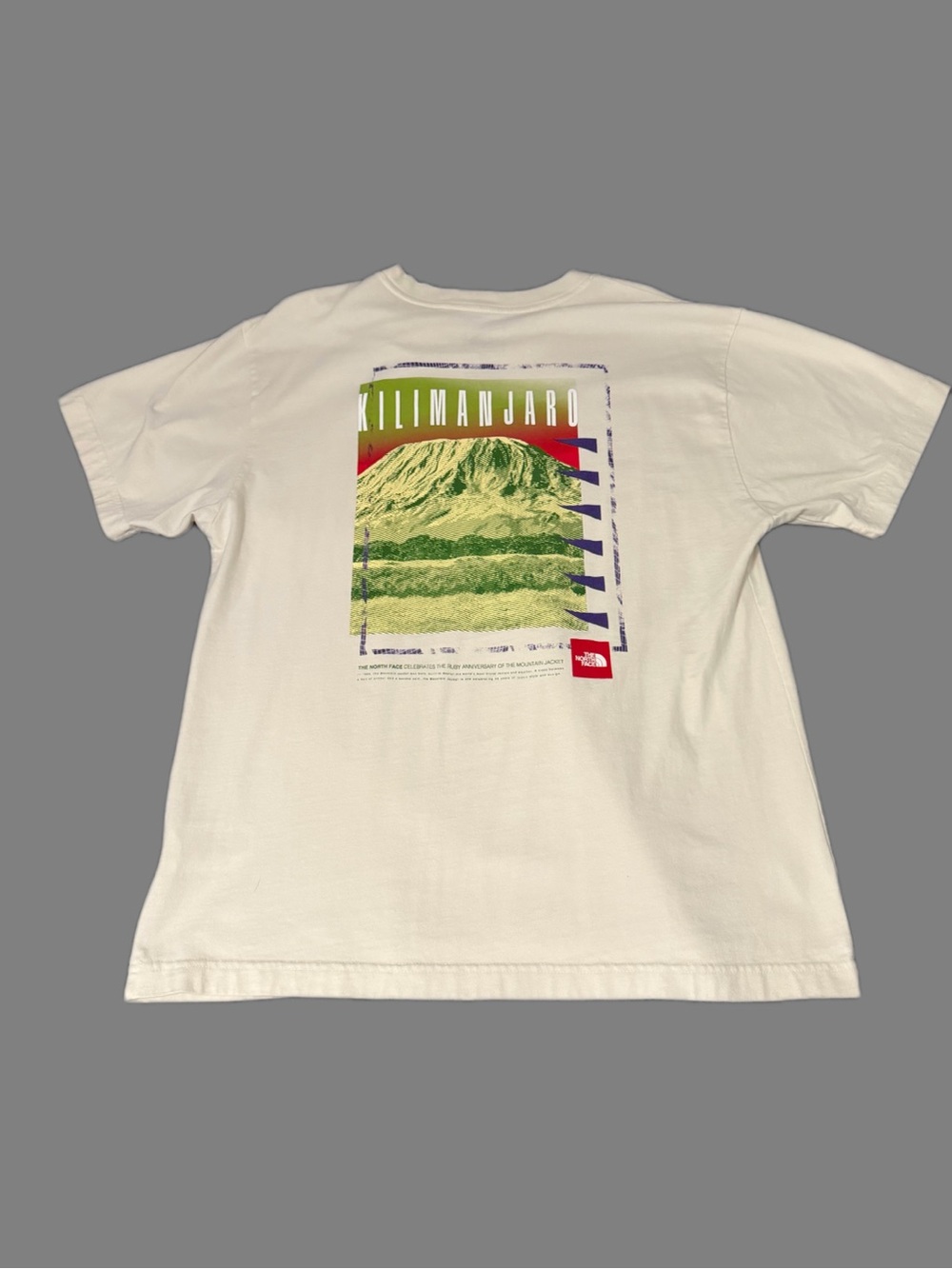 The North Face Kilimanjaro Shirt, White Size Large
